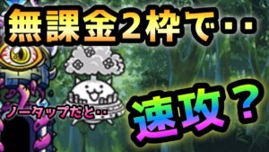 開眼のちびネコノトリ   まさかの無課金2枠＆ノータップ速攻？　にゃんこ大戦争