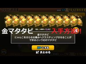 にゃんこ大戦争 金マタタビ入手する瞬間！にゃんこ神社がいきなり光った・・・！？