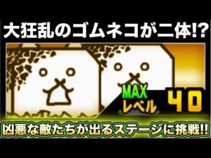 【スマホ版実況】あの大狂乱キャラが二体出てくる！？今回も異界にゃんこ塔を進めていきます！！【にゃんこ大戦争】