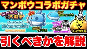 【実況にゃんこ大戦争】マンボウコラボガチャきたけど、マンボ王って強いの？引くべきかを徹底解説！