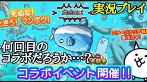 何回目のコラボだろう？生きろ！マンボウ！コラボ【にゃんこ大戦争】
