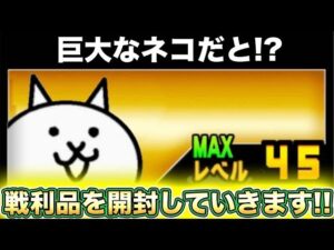【開封】巨大なネコ降臨！？ゲーセンで取ったBIGソフビがヤバすぎたww【にゃんこ大戦争】