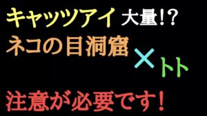 【にゃんこ大戦争】キャッツアイ大量！？ネコの目洞窟&トト周回する人は注意が必要です！
