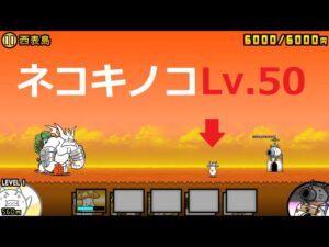 にゃんこ大戦争 ぶんぶん先生vsネコキノコLv.50 森のキノコにご用心！日本編 西表島