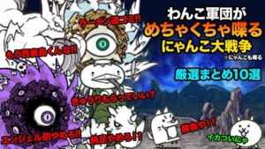 もしにゃんことわんこがべちゃくちゃ喋ったら...【厳選10選】　にゃんこ大戦争
