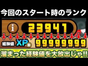 【スマホ版実況】経験値がカンストしたのでユーザーランク上げ！！ランク爆上げなるか！！【にゃんこ大戦争】