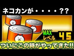 ついにネコカンまでもが・・・・