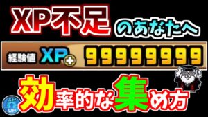 【にゃんこ大戦争】経験値を効率よく集める！初心者、中級者以上向けにそれぞれ解説【The Battle Cats】