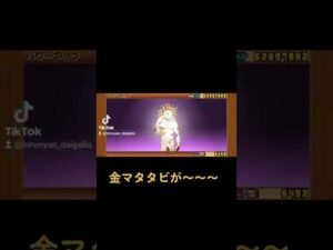 超・神様…、 進化ーーーー！！【にゃんこ大戦争/The Battle Cats】#Shorts