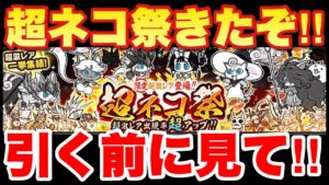 【実況にゃんこ大戦争】超ネコ祭きたぞ「引く前に一応見て」