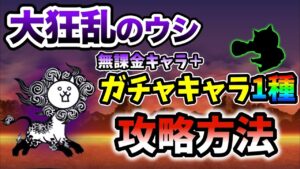 大狂乱のウシ降臨　超激レアなし&本能なし　無課金キャラ＋レアキャラ1種で簡単攻略【にゃんこ大戦争】