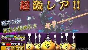 極ネコ祭150連ガチャ　やっとやっとついに・・・・・