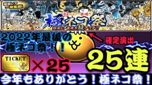 2022年最後の極ネコ祭！今年もありがとう！最後に限定キャラをください！【にゃんこ大戦争】