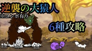 【にゃんこ大戦争】逆襲の大猿人　6種攻略