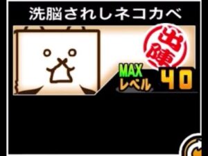 【にゃんこ大戦争】こう見えて汎用性が…貴重な壁には違いない　洗脳されしネコカベのトリセツ　#638