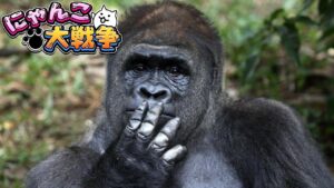 詰んだと思ったら逆転ゴリラ降臨【切り抜き】【にゃんこ大戦争】