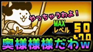 こんな事出来る激レア奥様だけw  1種で速攻　にゃんこ大戦争