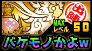 覚醒ナーラを本気で強化した結果・・バケモノと化しましたw  にゃんこ大戦争