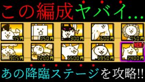 これが新時代の基本キャラたちの強さですww　にゃんこ大戦争