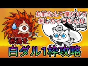 赤渦を白ダル実質1枠攻略【にゃんこ大戦争】