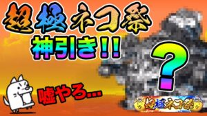 【神引き】超極ネコ祭11連したら、わんこが絶望したw