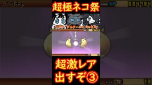 【にゃんこ大戦争】超極ネコ祭でミタマ・ダルターニャ・キャスリィ狙いガチャ！出ろ！③