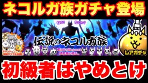 【実況にゃんこ大戦争】伝説のネコルガ族ガチャ登場「初級者はやめとけ」