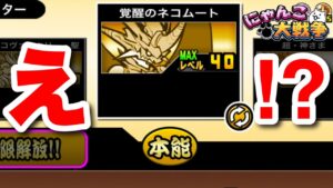 【実況にゃんこ大戦争】え！？バグ！？