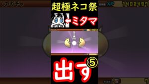 【にゃんこ大戦争】超極ネコ祭でミタマ・ダルターニャ・キャスリィ出すぞ！⑤