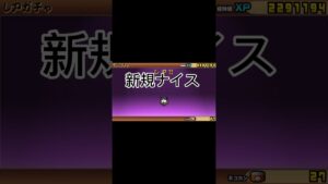 確定10連行くぜ！こいセイバー！ #にゃんこ大戦争 #にゃんこ大戦争ガチャ #確定#ガチャ