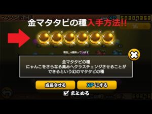 にゃんこ大戦争 金マタタビの種 入手方法！！異界にゃんこ塔30階