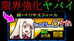 【狂気】これが限界レベルに育成した『イリヤスフィール』の実力です　にゃんこ大戦争