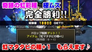 にゃんこ大戦争　虹のマタタビの種　奇跡の虹彩色　極ムズをクリアすると…