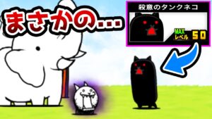 狂乱のネコで殺意のタンクを使うと...？　にゃんこ大戦争