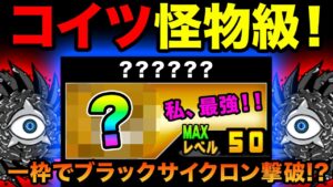 ダークネスヘブン あの○○キャラで、一枠攻略したら地獄になったw　にゃんこ大戦争 進撃の黒渦 激ムズ