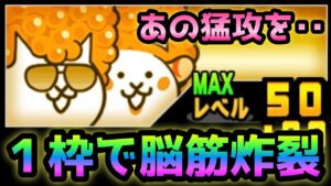 怒涛の攻撃を1枠で抑える極上が脳筋過ぎるw    にゃんこ大戦争