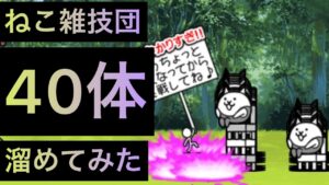 ネコ雑技団40体溜めてみた！　にゃんこ大戦争　ゲノム盆踊り