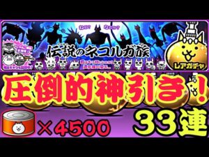 超激レア4倍？伝説のネコルガ族33連で圧倒的神引きで勝利する男【にゃんこ大戦争】