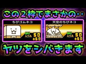 (50+60)のちびゴムとちび天空の性能がエグ過ぎるw   にゃんこ大戦争