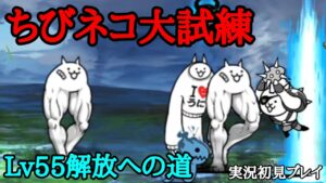 ちびネコ大試練 +Lv55解放への道(実況初見プレイ)【にゃんこ大戦争】