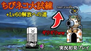 ちびネコ大試練+Lv60解放への道(実況初見プレイ)【にゃんこ大戦争】