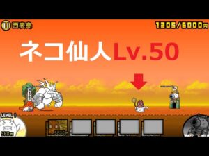 にゃんこ大戦争 ネコ仙人Lv.50vsぶんぶん先生 日本編 西表島