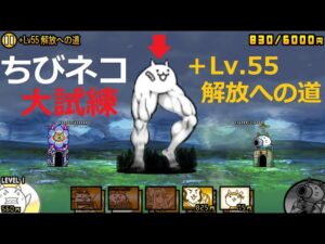 にゃんこ大戦争 ちびネコ大試練 レベル限界突破！＋Lv.55解放への道