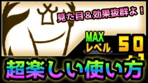 これを見ると洗脳美脚が欲しくなります！　にゃんこ大戦争