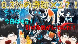 【引いたぞ限定！】0.3％の逆奇跡(´；ω；`)ｳｩｩｗ　からの久々の限定キャラ降臨(ﾟДﾟ;)！【にゃんこ大戦争#184】#にゃんこ大戦争　#極ネコ際