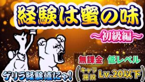 にゃんこ大戦争 - 経験は蜜の味 初級 - ゲリラ経験値にゃ  #1 ┊ 低レベル 無課金 基本キャラ 攻略 ┊ The battle cats