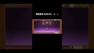 にゃんこ大戦争のネコカン1000個当たったので11連ガチャ回してみた#にゃんこ大戦争#ガチャ#11連