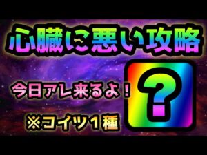 本日アレが来る！＆心臓に悪い1種攻略がコレw    にゃんこ大戦争