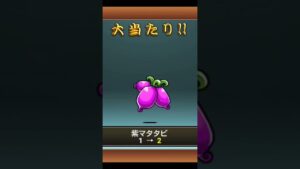 虹マタタビゲット🌈🌈 #スマホゲーム実況 #にゃんこ大戦争