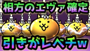 相方がエヴァ確定回した結果･･引きが相変わらずレベチでしたw   にゃんこ大戦争